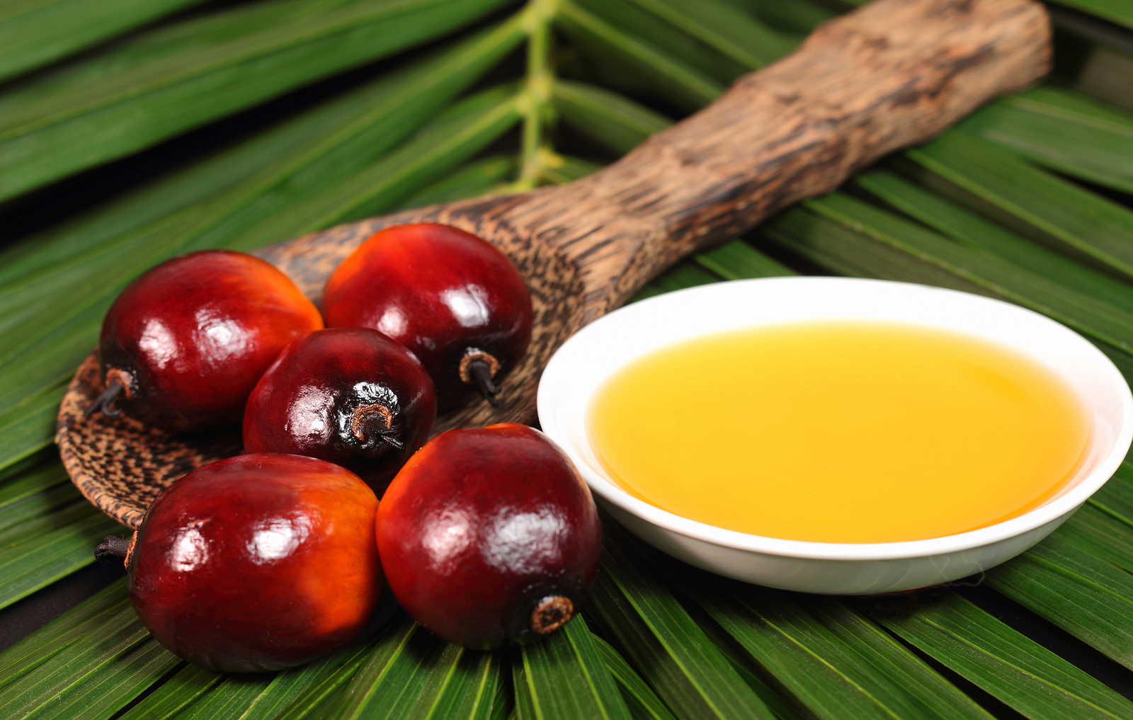 Does Palm Oil Have Health Benefits?