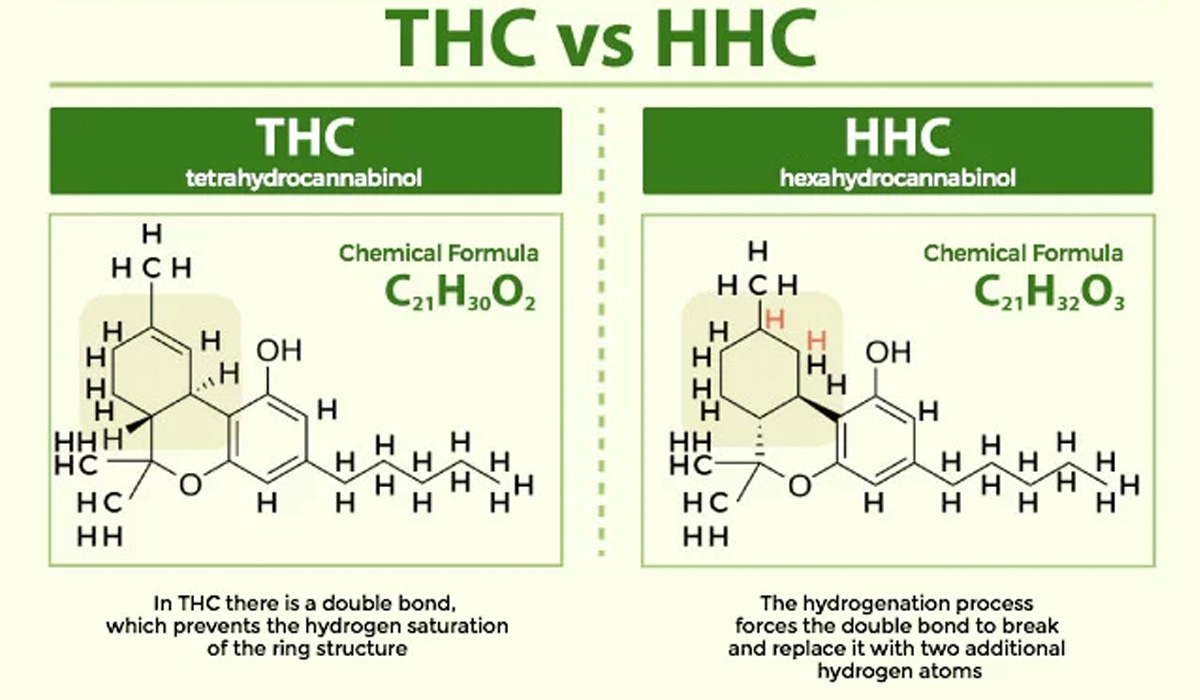 What are the Best HHC-P Products