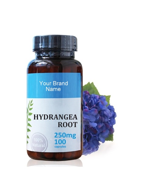 Benefits of Hydrangea Supplements